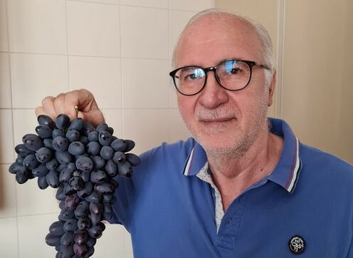 L'immagine ritrae uno dei maggiori esperti di uva da tavola