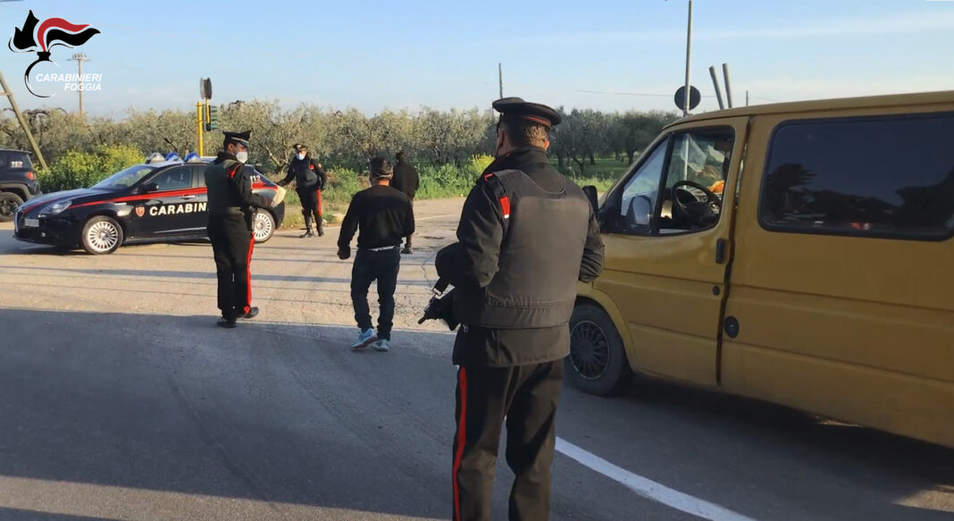 Controlli anti caporalato in provincia di Foggia